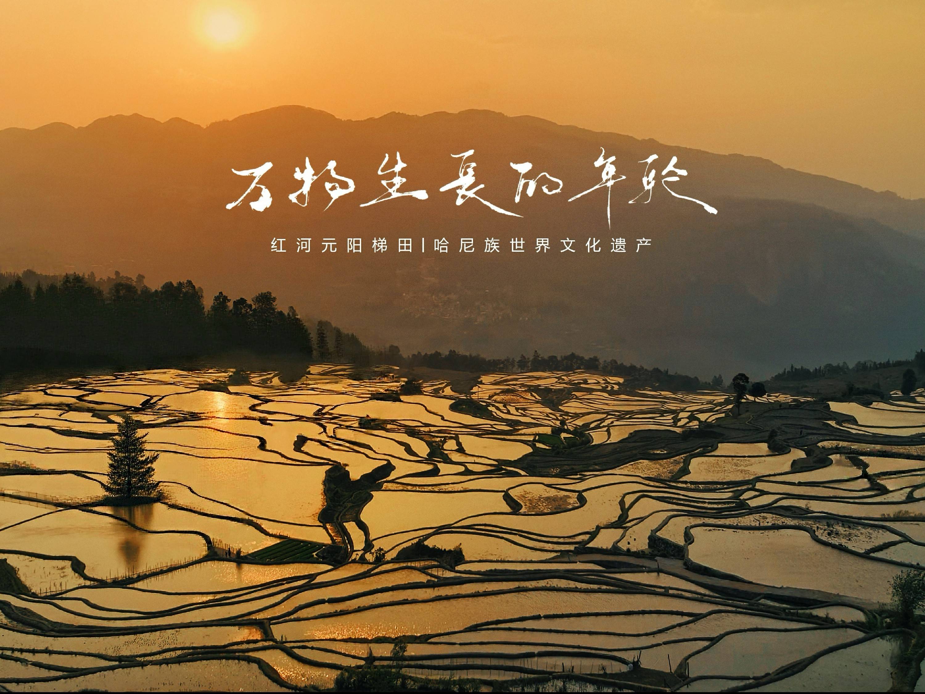 文章配图-2